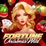 Fortune Christmas Wild game thumbnail